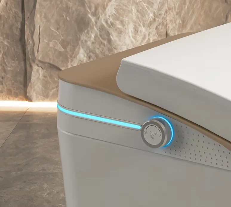 Smart Toilet Systems